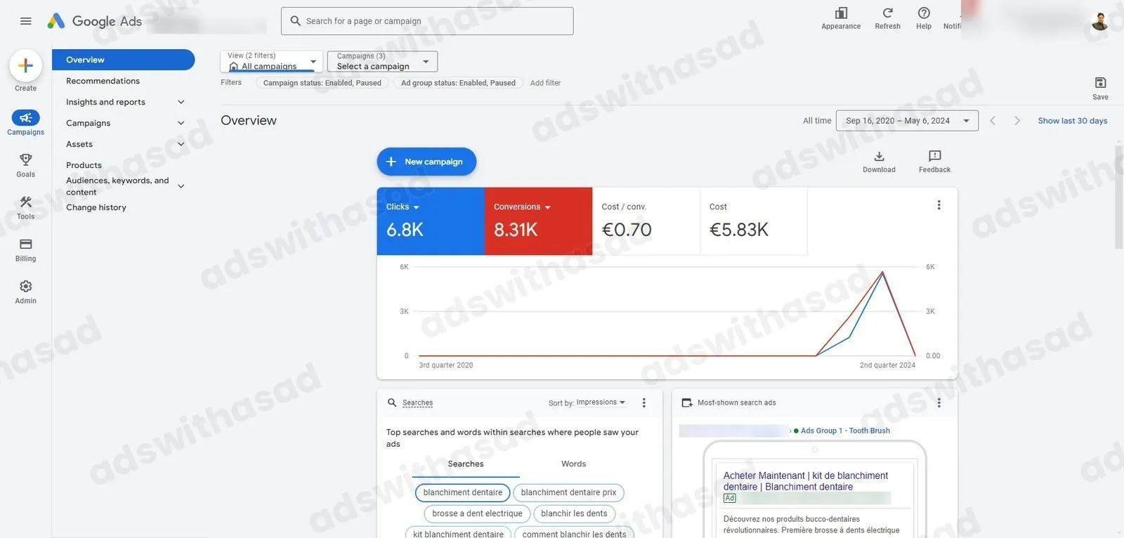 Google Ads account results for Oral Care / Teeth Whitening E-commerce