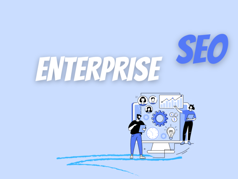 expert seo services